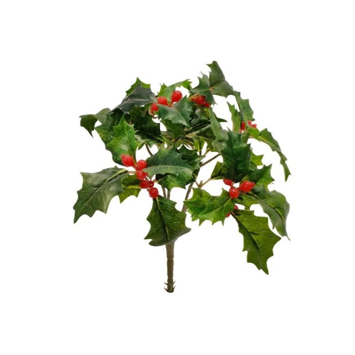 AGRIFOGLIO BUSH X48 10 BACCHE 20CM.